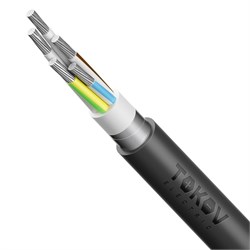 Кабель TOKOV ELECTRIC АВБШв 5х35 МК (N PE) 0.66кВ (м) 00-00072441 00-00072441