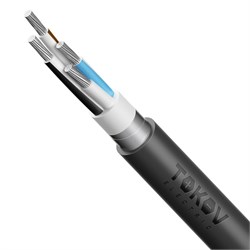 Кабель TOKOV ELECTRIC АВБШвнг(А) 4х50 МК (N) 0.66кВ (м) 00-00072448 00-00072448