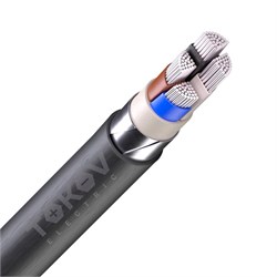 Кабель TOKOV ELECTRIC АВБШвнг(А) 4х70 МС (N) 1кВ (м) УТ000030773 УТ000030773