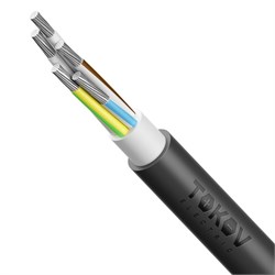 Кабель TOKOV ELECTRIC АВВГнг(А)-LS 5х50 МК (N PE) 0.66кВ (м) 00-00072436 00-00072436