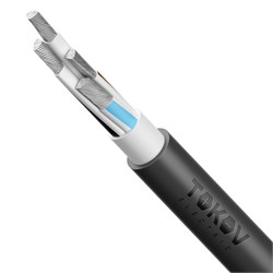 Кабель TOKOV ELECTRIC АВВГнг(А)-LS 4х95 МС (N) 1кВ (м) УТ000030793 УТ000030793