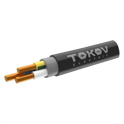 Кабель TOKOV ELECTRIC ППГнг(А)-HF 3х6 ОК (N PE) 0.66кВ (м) ТХМ00409116 ТХМ00409116