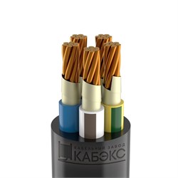 Кабель ВВГнг(А)-FRLS 5х25 МК (N PE) 1кВ (м) Кабэкс ТХМ00217913 ТХМ00217913