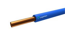 Провод ПуВнг(А)-LS 1х10 450/750В С (бухта) (м) РЭК-PRYSMIAN 0601080501 601080501