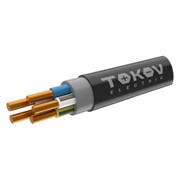 Кабель TOKOV ELECTRIC ППГнг(А)-HF 5х2.5 ОК (N PE) 0.66кВ (м) ТХМ00409123 ТХМ00409123
