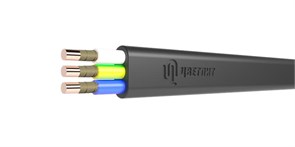 Кабель ППГ-Пнг(А)-FRHF 3х2.5 ОК (N PE) 0.66кВ (м) Цветлит 00-00140366 00-00140366